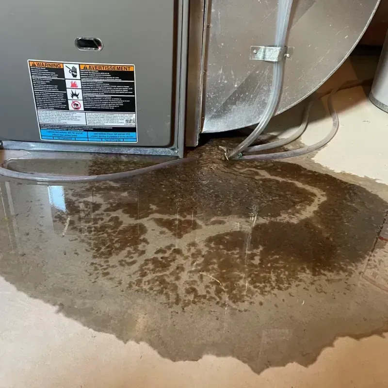 Appliance Leak Cleanup in Twin Lake, MI